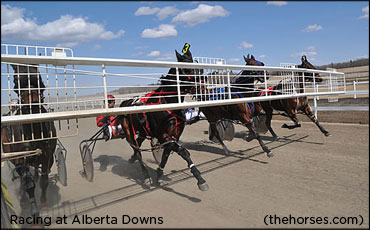 No More Racing At Alberta Downs This Year