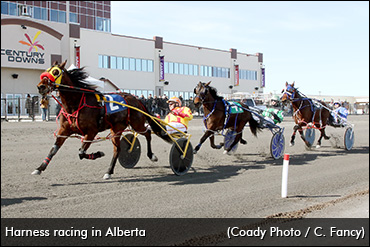Racing Returning To Alberta