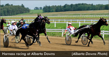 Bonus Offered For Sub-1:50 Performer