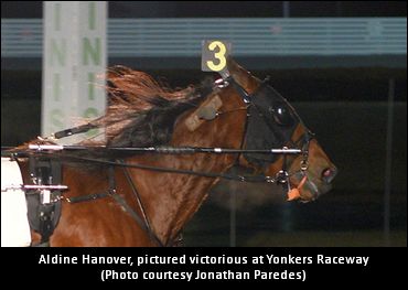‘Mean’ Mare Is ‘All Racehorse’