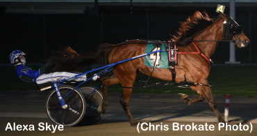 Matchmaker Mastery For Alexa Skye