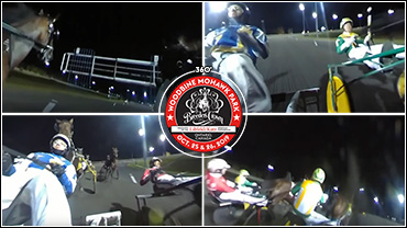 Take A Ride With Alicorn