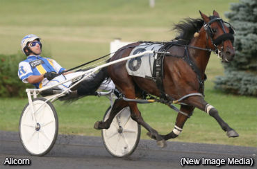 Alicorn Lowers OSS Record