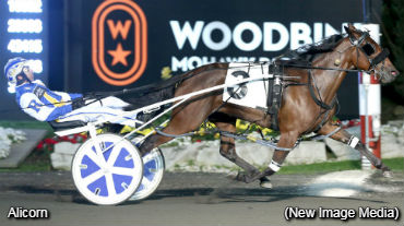 Alicorn Lowers OSS Record....Again!