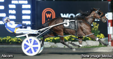 Alicorn Ties Her Own OSS Record