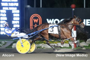 Alicorn, Rose Run Victoria Grab Gold
