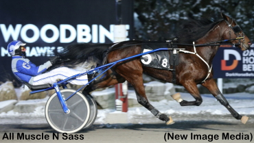 Harvest Upset For All Muscle N Sass Harvest Upset For All Muscle N Sass