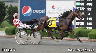 All Tiger N Poised For A Sweep