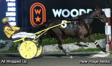 Rookie Colts Clash In Harvest Series