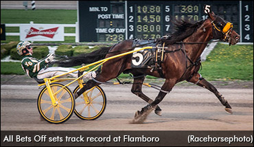 A Horse With A Special Fan Club