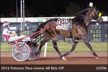 All Bets Off Seeks Potomac Repeat