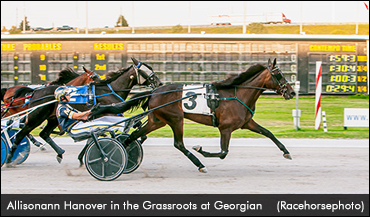 'Allisonann' Hoping For Success At Hanover 