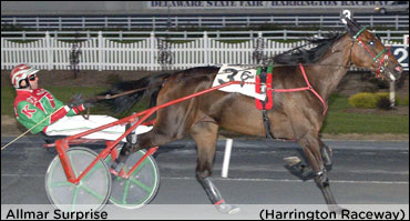 Allmar Surprise Beats The Boys