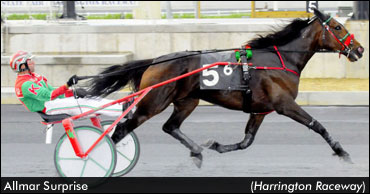 'Surprise!': All-Age Trot Record Lowered
