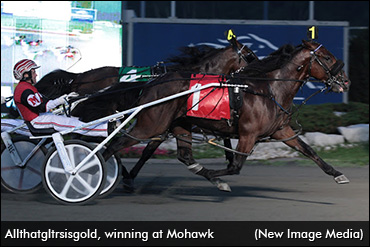 Allthatgltrsisgold Passes