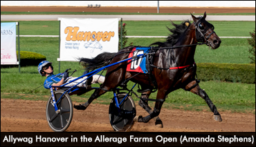 'Allywag' Headlines Potomac Pace