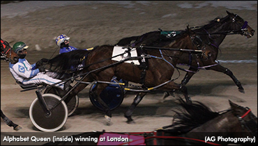 Alphabet Queen Lands In London