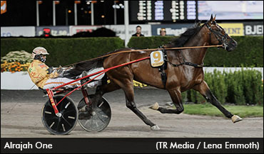 European Star Alrajah One To North America