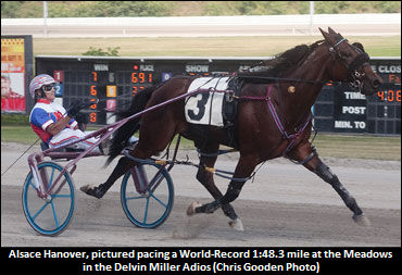 'Alsace' Returns; Camaes Fellow Sold