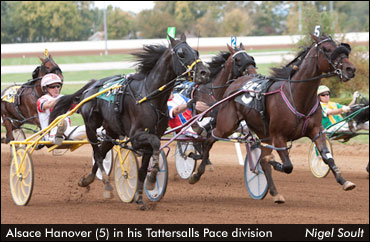 'Alsace' Seeks Crowning Moment