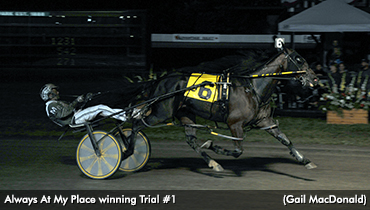 Saucer Trial 1 To Always At My Place