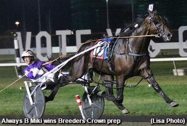 Breeders Crown Kicks Off In Style