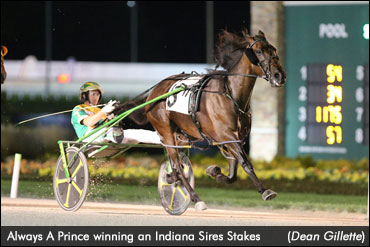 Action-Packed Grand Circuit Card At Hoosier