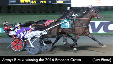 Breeders Crown Weekend Begins