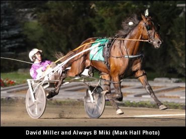 Aged Pacing Division Excites Miller