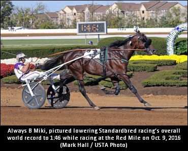 ‘Miki’ Voted U.S. Horse Of The Year