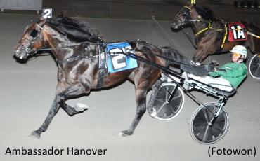 Chapter Sevens Nearly Sweep Stakes