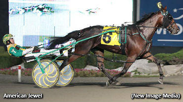 American Jewel Jogs In Simcoe