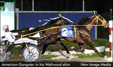 Frosh Record Lowered In Wellwood Elims