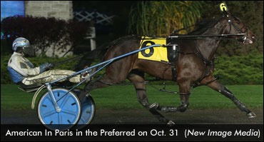 American In Paris Wires Woodbine Mares