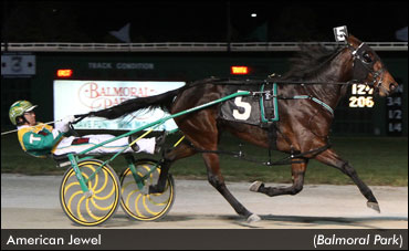 American Jewel & Chapter Seven Go Out Winners