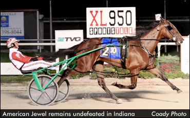 American Jewel Still Unbeaten