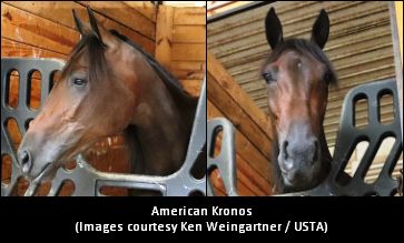 Katz, Miller On American Kronos