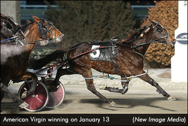 Woodbine Feature To American Virgin