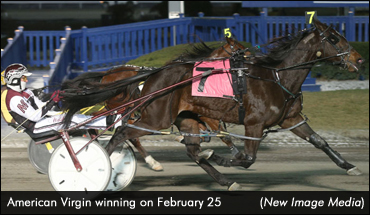 American Virgin Rebounds; Roy Wins Five