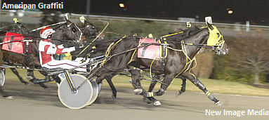 Whim Farms Adds Stallion