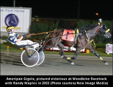 Ameripan Gigolo Passes