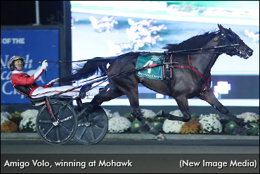 Family Ties For Hambo Hopefuls
