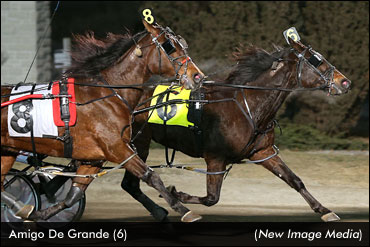 Hat Trick For Amigo De Grande