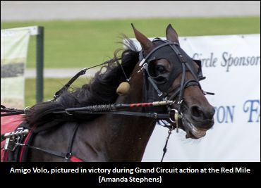 Norman Confident In His 'Amigo'