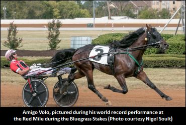 World Record For Amigo Volo