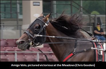 Update On Amigo Volo