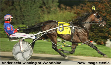 Anderlecht Equals Sudbury Record; Six For Jamieson