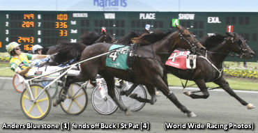 Maxie Lee To Anders Bluestone