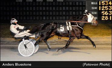 Millionaire Quietly Retired To Stud