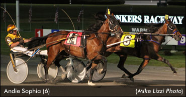 Andie Sophia Wins Hudson Filly Trot